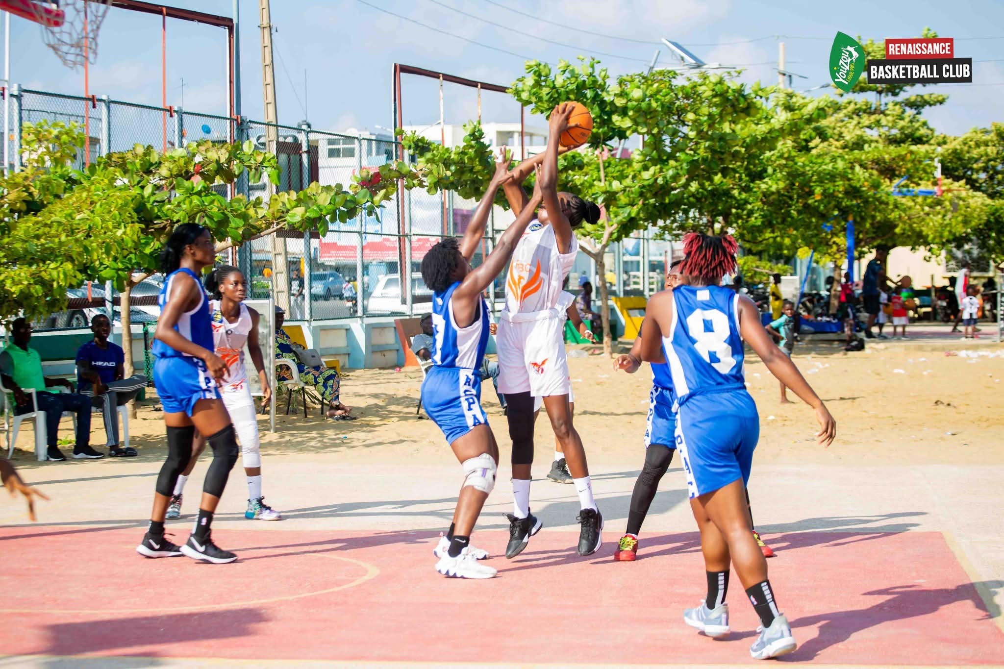 Basketball - Phase 2 Youzou Ligue Pro : Zoom sur le classement final