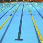 facebook_1772719580675_7435324828106956807